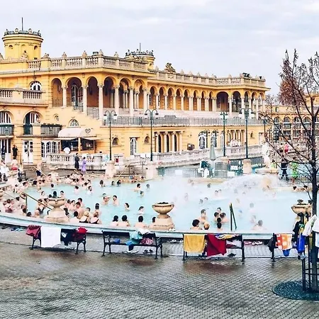 Apartament Elegant Marble 3br Near Opera House Grand Windows Budapesta
